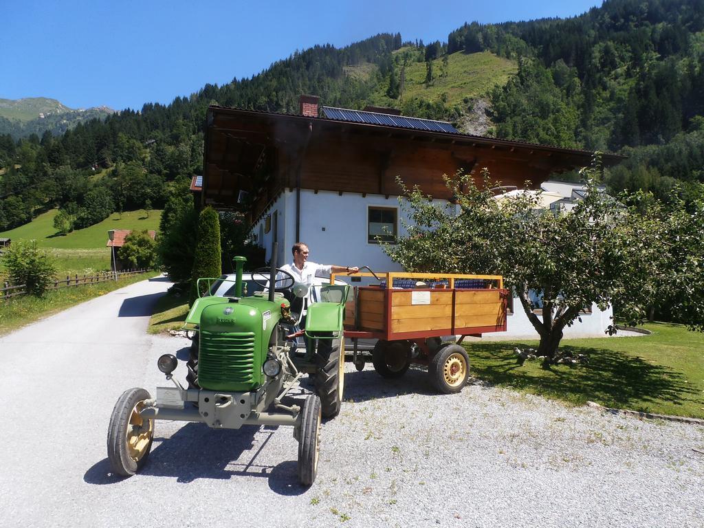 Landhaus Johanna Dorfgastein Dış mekan fotoğraf