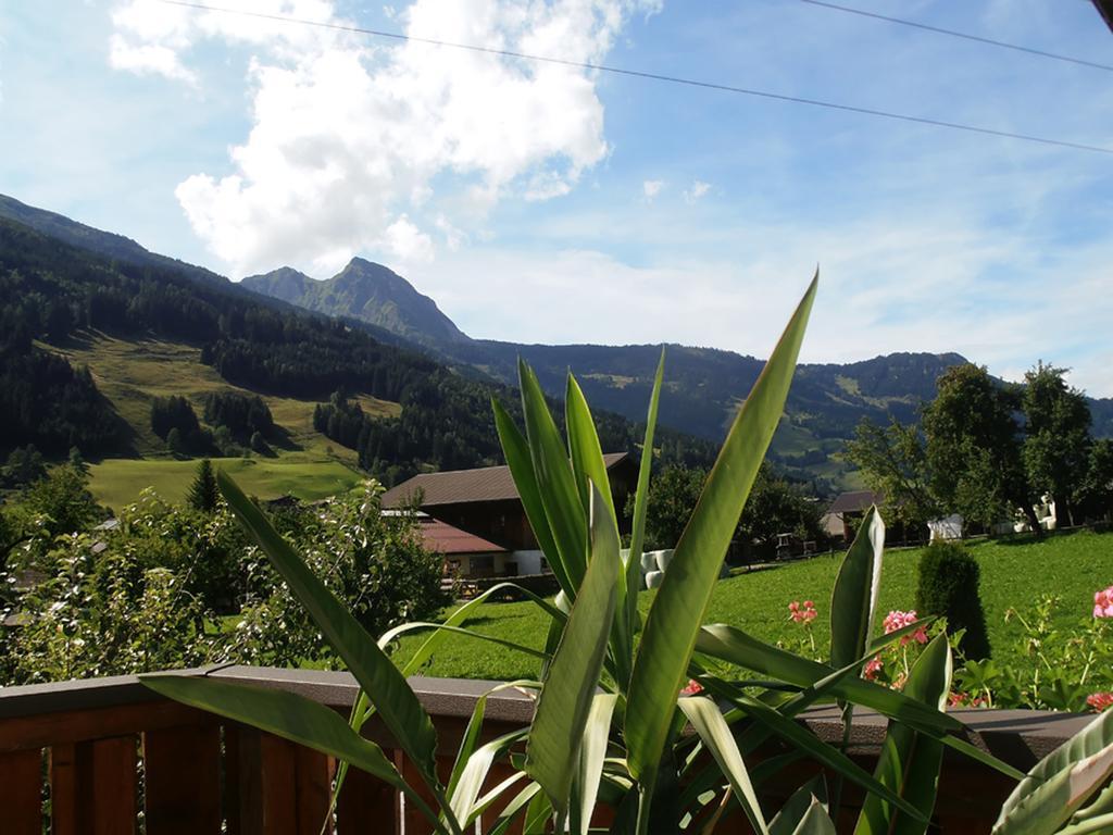 Landhaus Johanna Dorfgastein Dış mekan fotoğraf