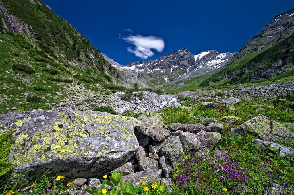 Landhaus Johanna Dorfgastein Dış mekan fotoğraf